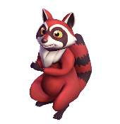 Red Raccoon