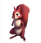 Red Squirrel